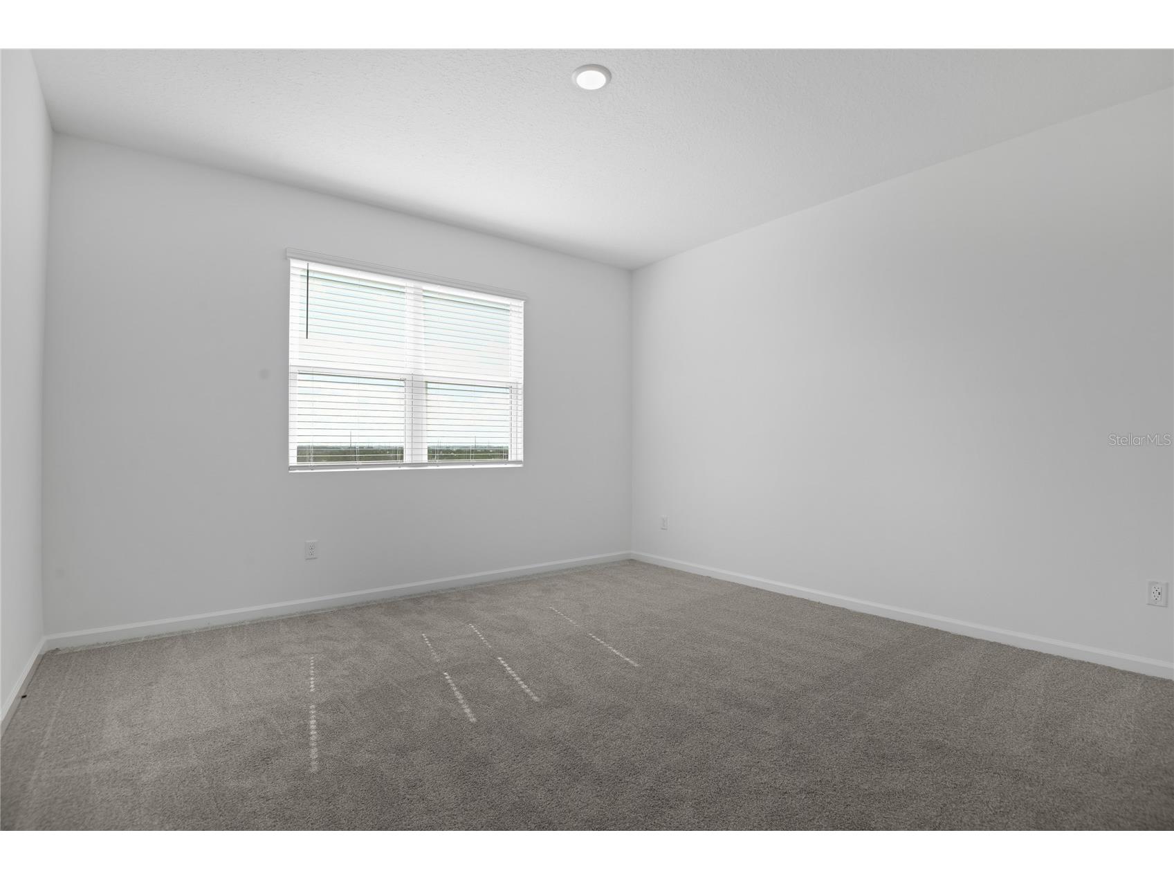 1260 Daisy Hill Way Dundee FL 33838 S5142939 image12