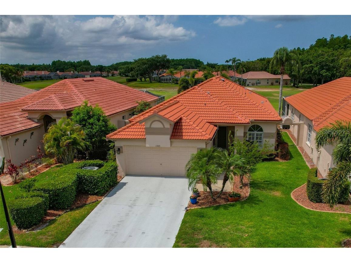 1260 Dartford Drive Tarpon Springs FL 34688 W7874782 image1