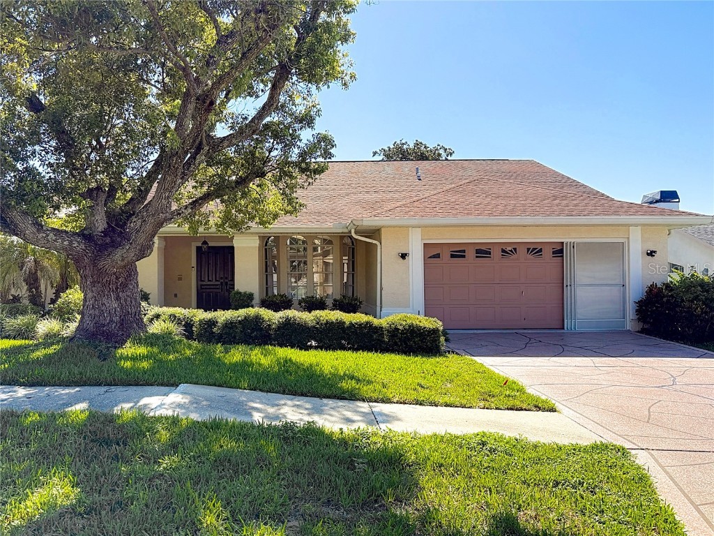 1260 Masada Lane Spring Hill FL 34608 TB8409976 image1