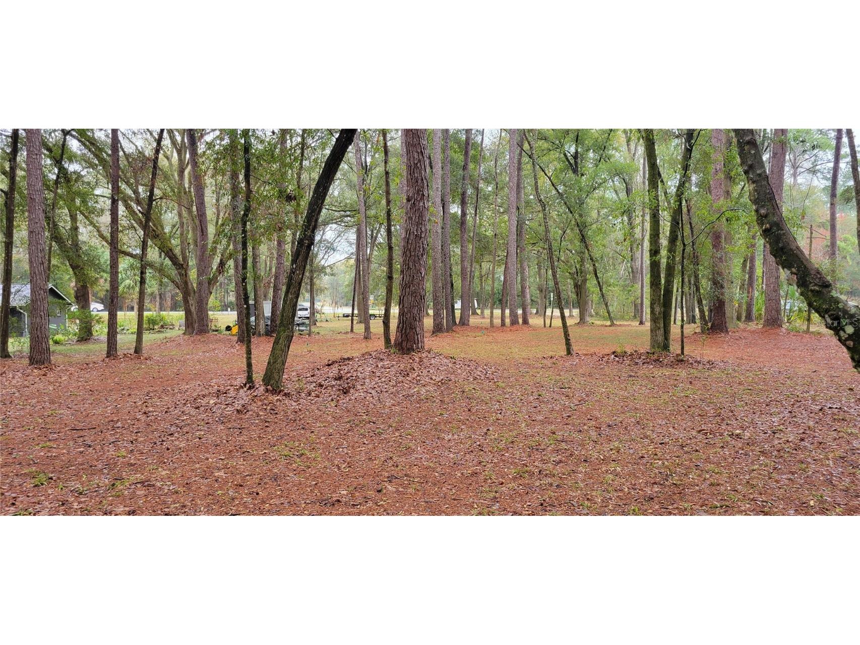 1260 SW 91st St Gainesville FL 32608 GC526664 image10