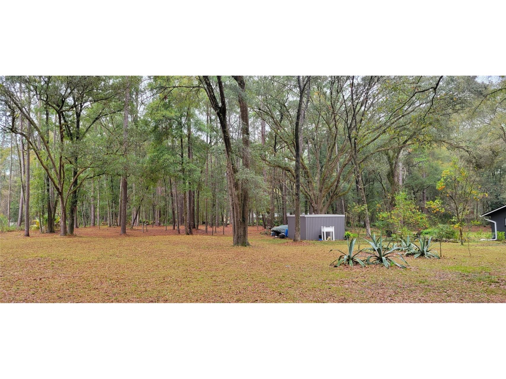 1260 SW 91st St Gainesville FL 32608 GC526664 image12