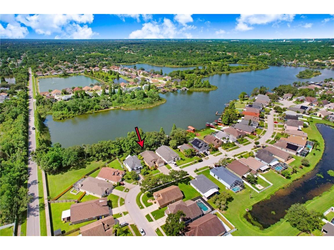 1260 Vinetree Drive Brandon FL 33510 TB8404170 image1