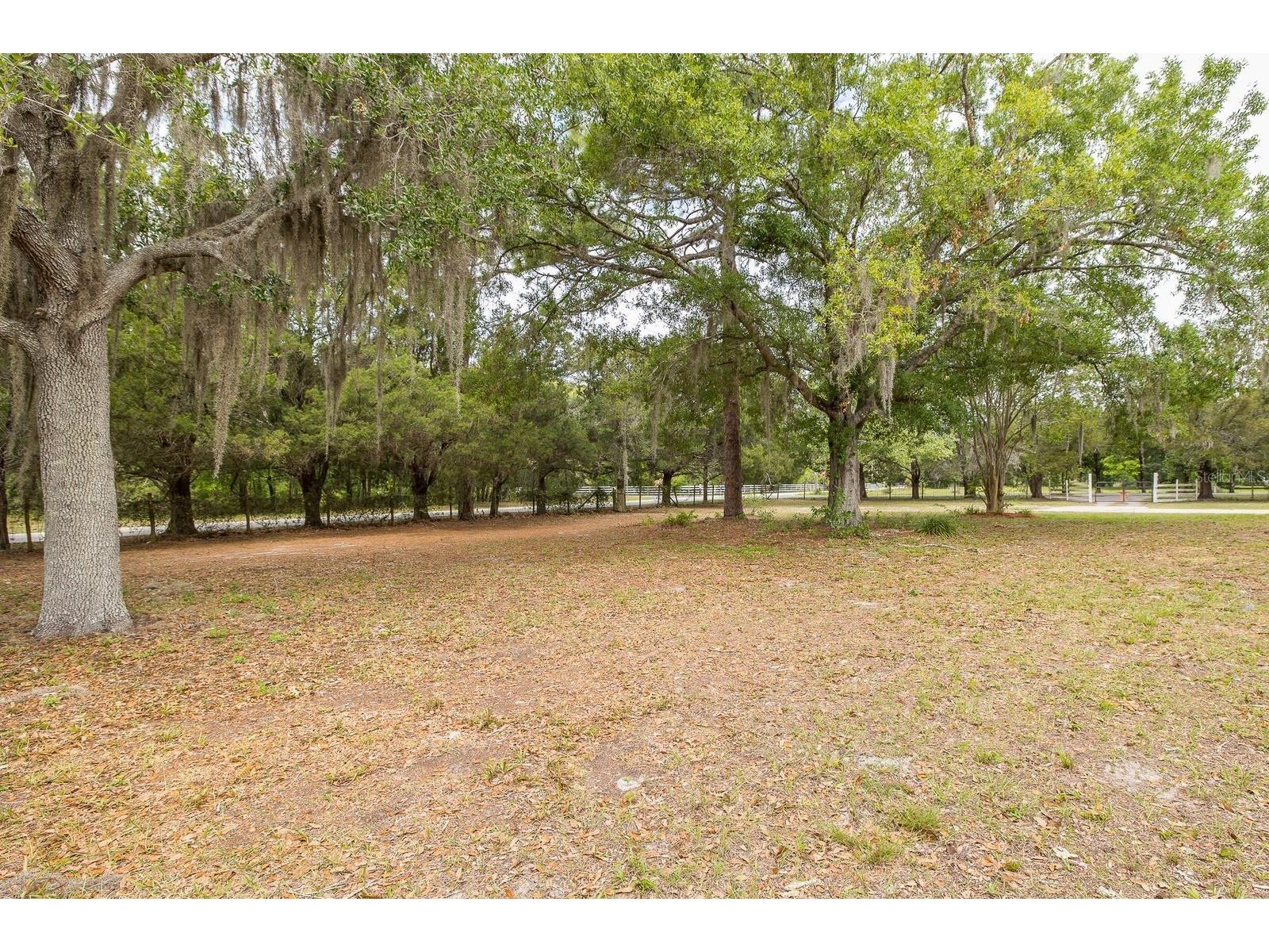 12600 Canton Avenue Hudson FL 34669 W7884729 image9