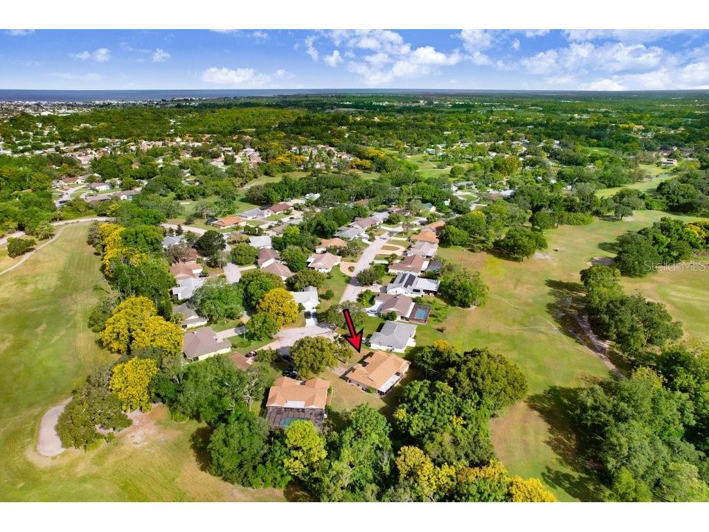 12600 Castleberry Court Bayonet Point FL 34667 TB8431878 image10