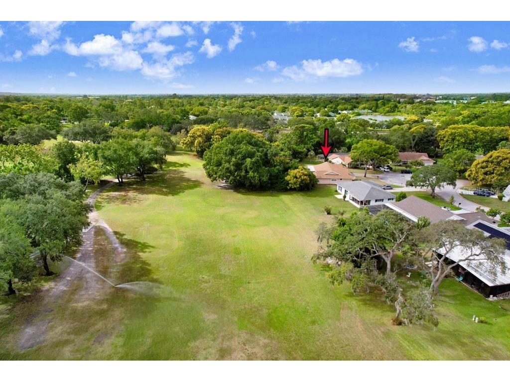 12600 Castleberry Court Bayonet Point FL 34667 TB8431878 image14