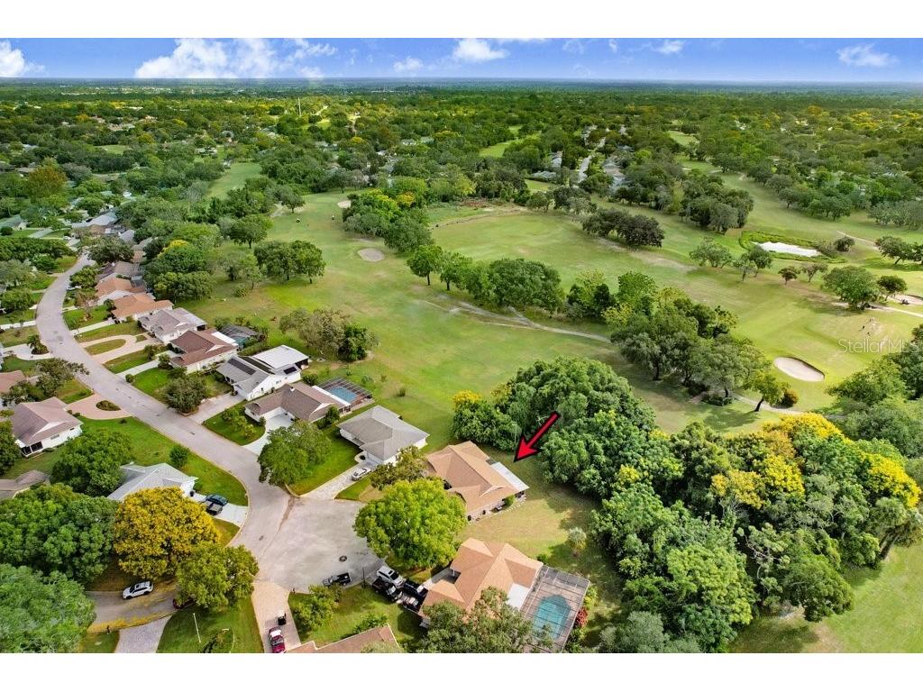 12600 Castleberry Court Bayonet Point FL 34667 TB8431878 image17