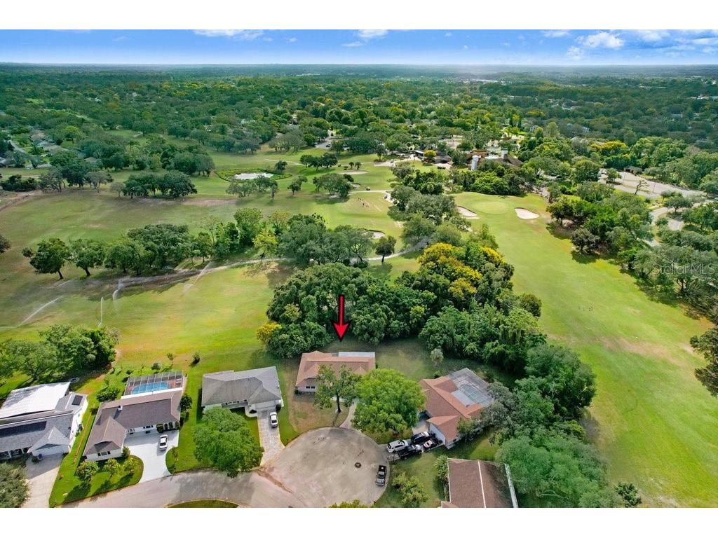 12600 Castleberry Court Bayonet Point FL 34667 TB8431878 image18