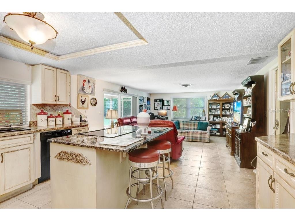 12600 Castleberry Court Bayonet Point FL 34667 TB8431878 image30