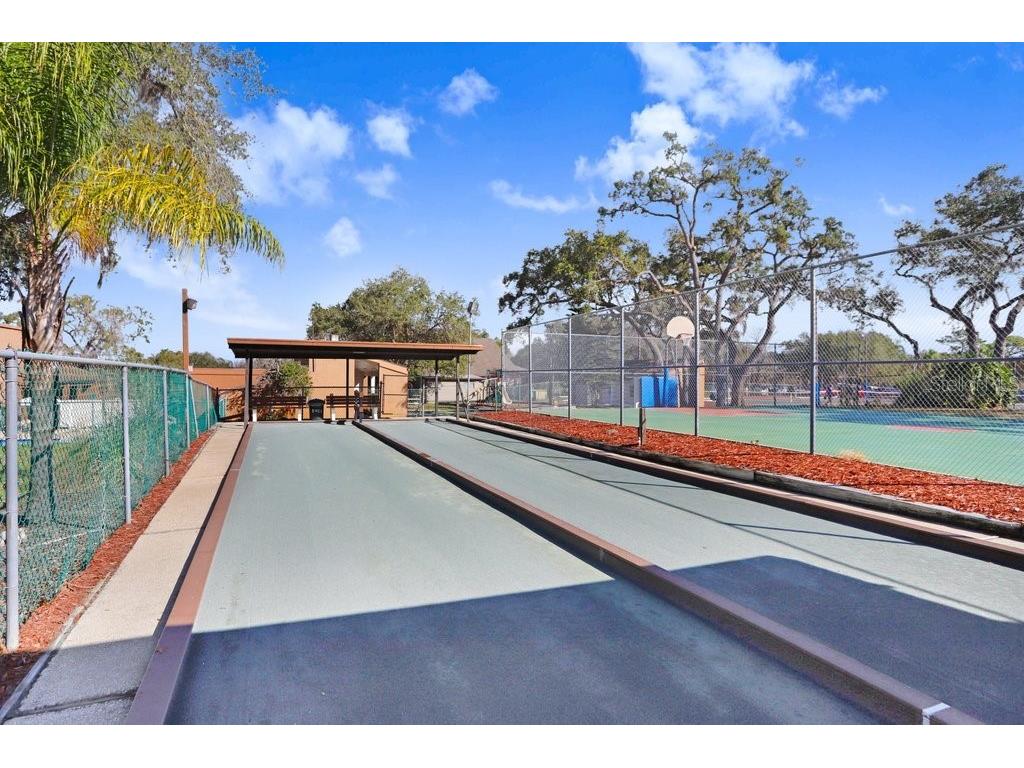 12600 Castleberry Court Bayonet Point FL 34667 TB8431878 image46