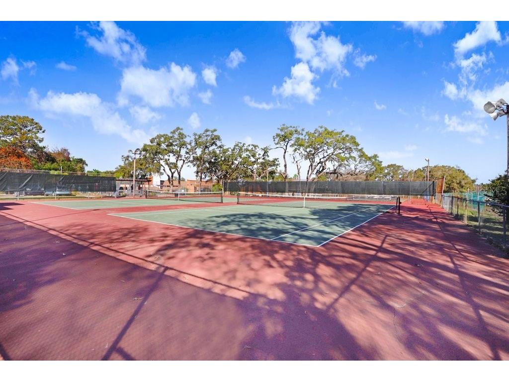 12600 Castleberry Court Bayonet Point FL 34667 TB8431878 image47