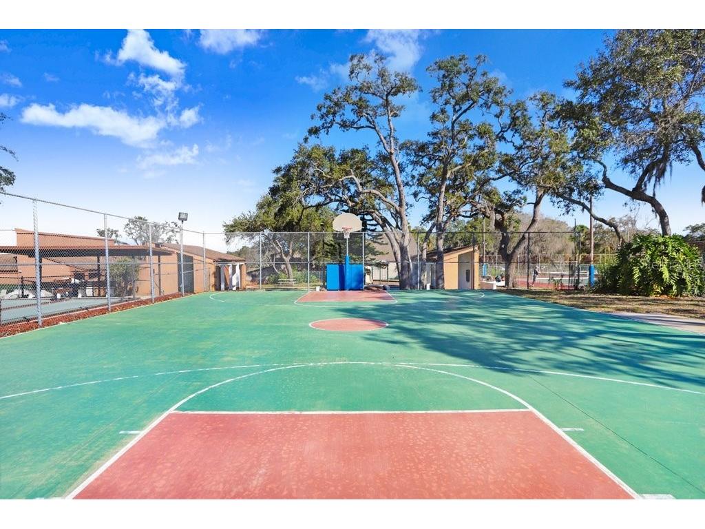 12600 Castleberry Court Bayonet Point FL 34667 TB8431878 image48