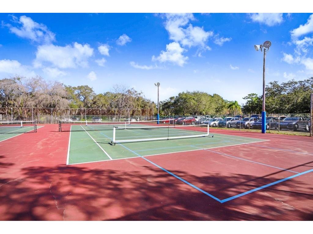 12600 Castleberry Court Bayonet Point FL 34667 TB8431878 image50