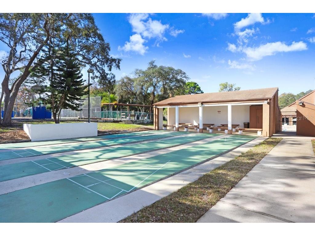 12600 Castleberry Court Bayonet Point FL 34667 TB8431878 image51