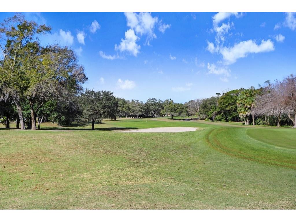 12600 Castleberry Court Bayonet Point FL 34667 TB8431878 image52