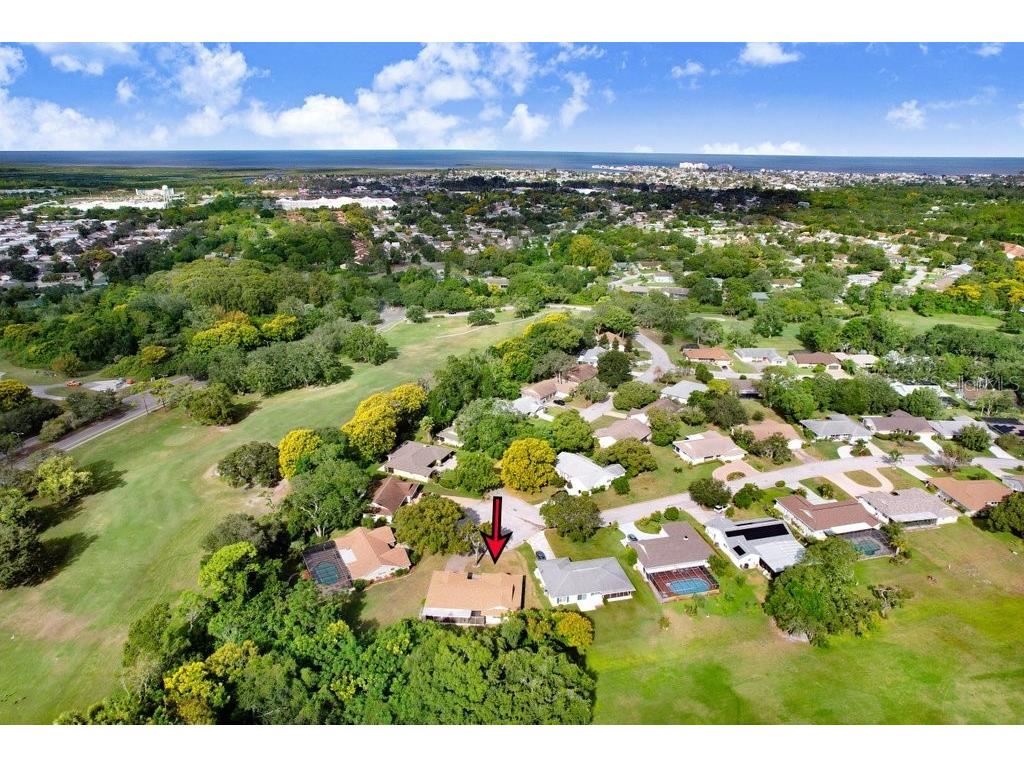 12600 Castleberry Court Bayonet Point FL 34667 TB8431878 image8