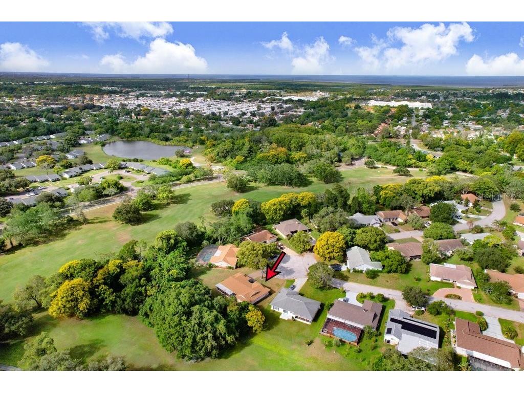 12600 Castleberry Court Bayonet Point FL 34667 TB8431878 image9