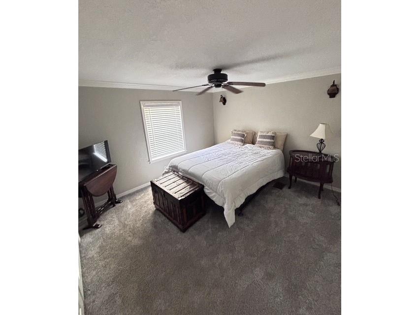 12601 Double Run Rd Astatula FL 34705 G5114632 image26