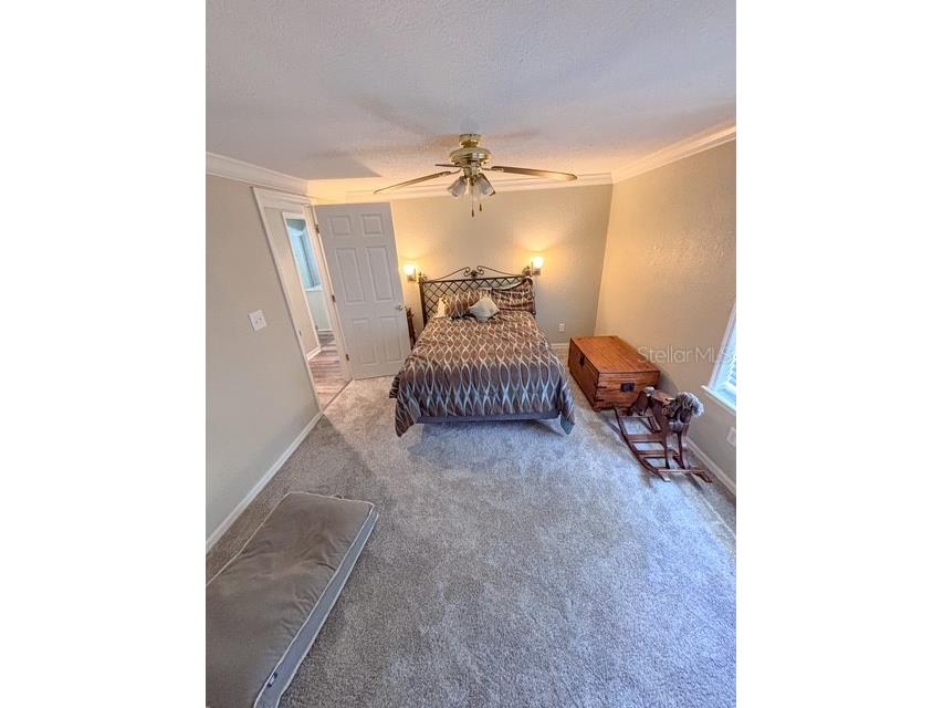 12601 Double Run Rd Astatula FL 34705 G5114632 image27