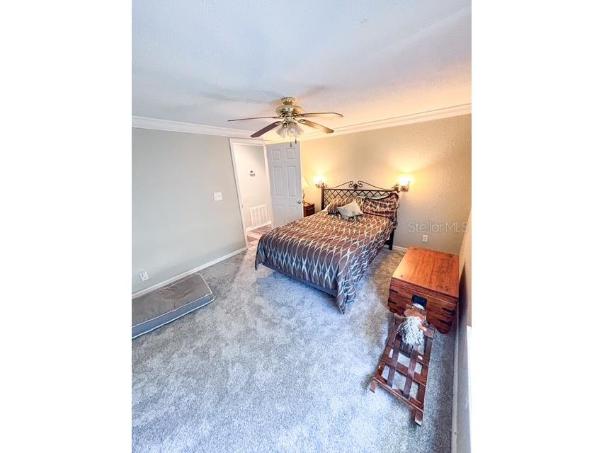 12601 Double Run Rd Astatula FL 34705 G5114632 image28
