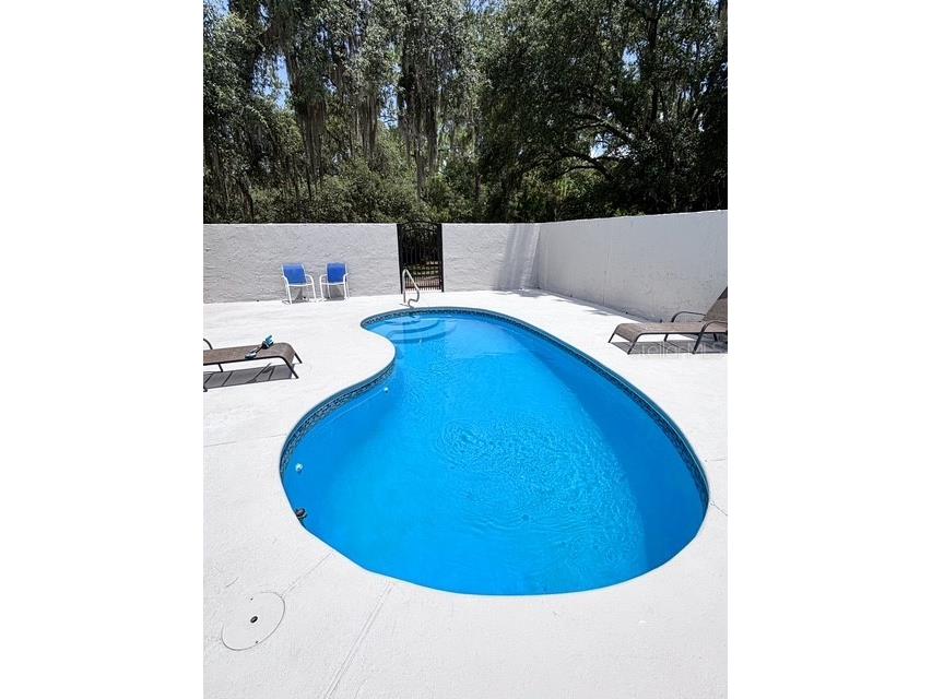 12601 Double Run Rd Astatula FL 34705 G5114632 image32