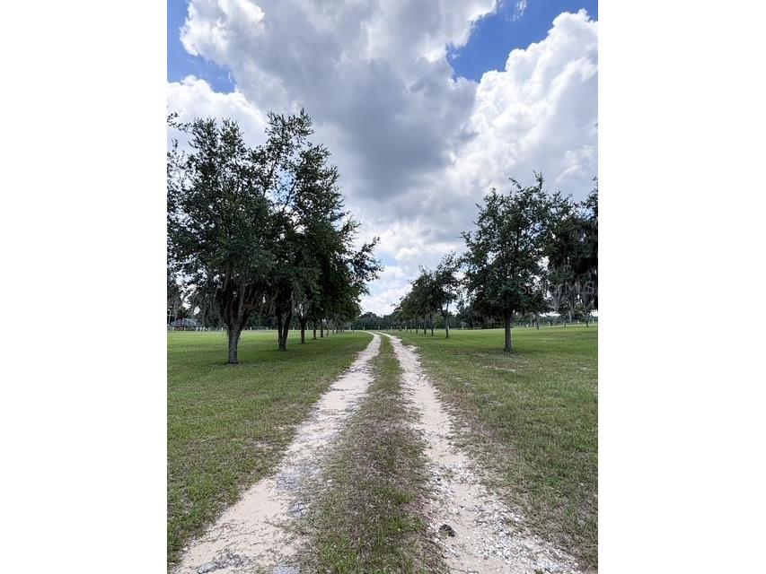 12601 Double Run Rd Astatula FL 34705 G5114632 image38