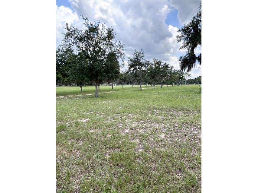 12601 Double Run Rd Astatula FL 34705 G5114632 image39