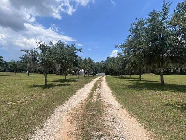 12601 Double Run Rd Astatula FL 34705 G5114632 image5