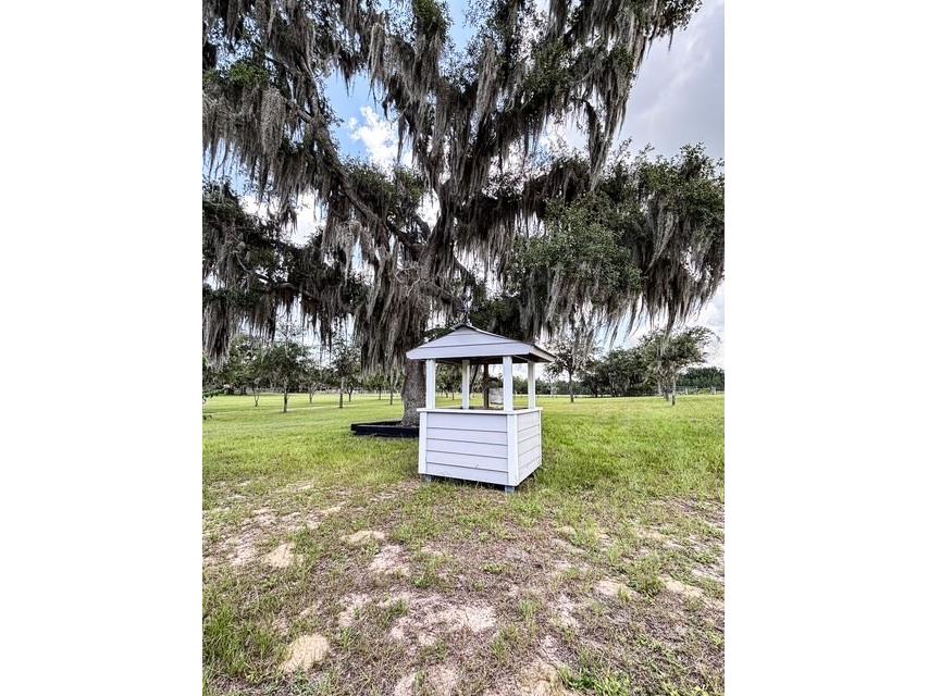 12601 Double Run Rd Astatula FL 34705 G5114632 image6