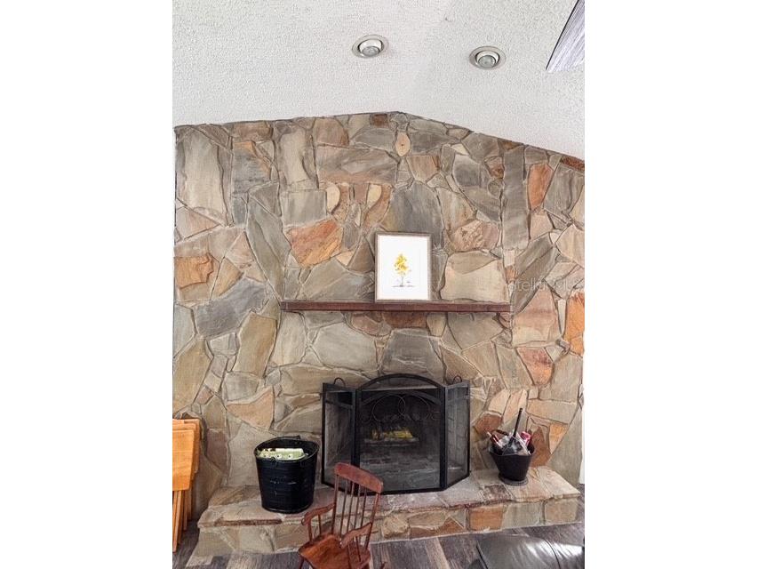 12601 Double Run Rd Astatula FL 34705 G5114632 image9
