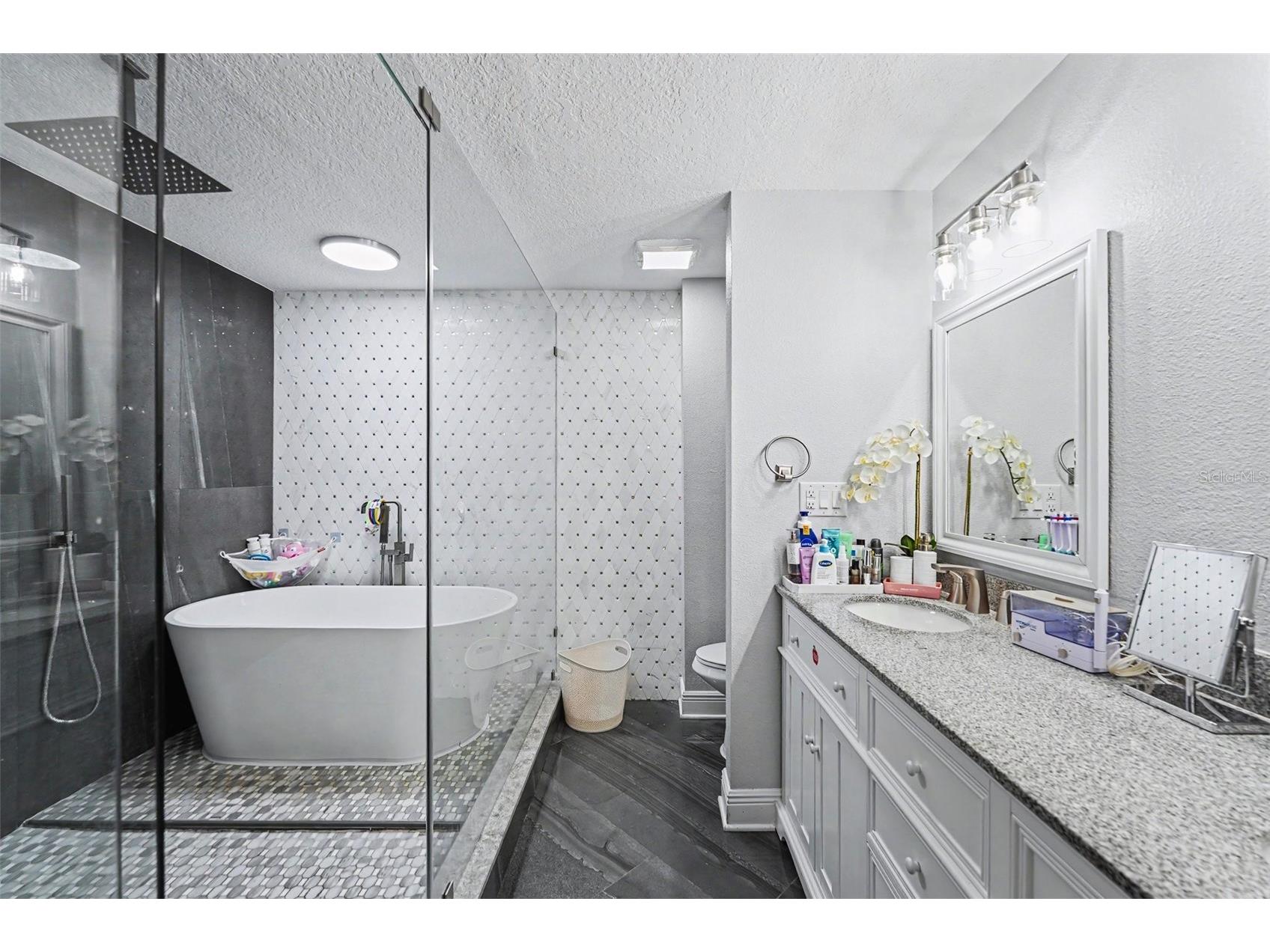 12601 Wood Ibis Way Tampa FL 33624 TB8510782 image19