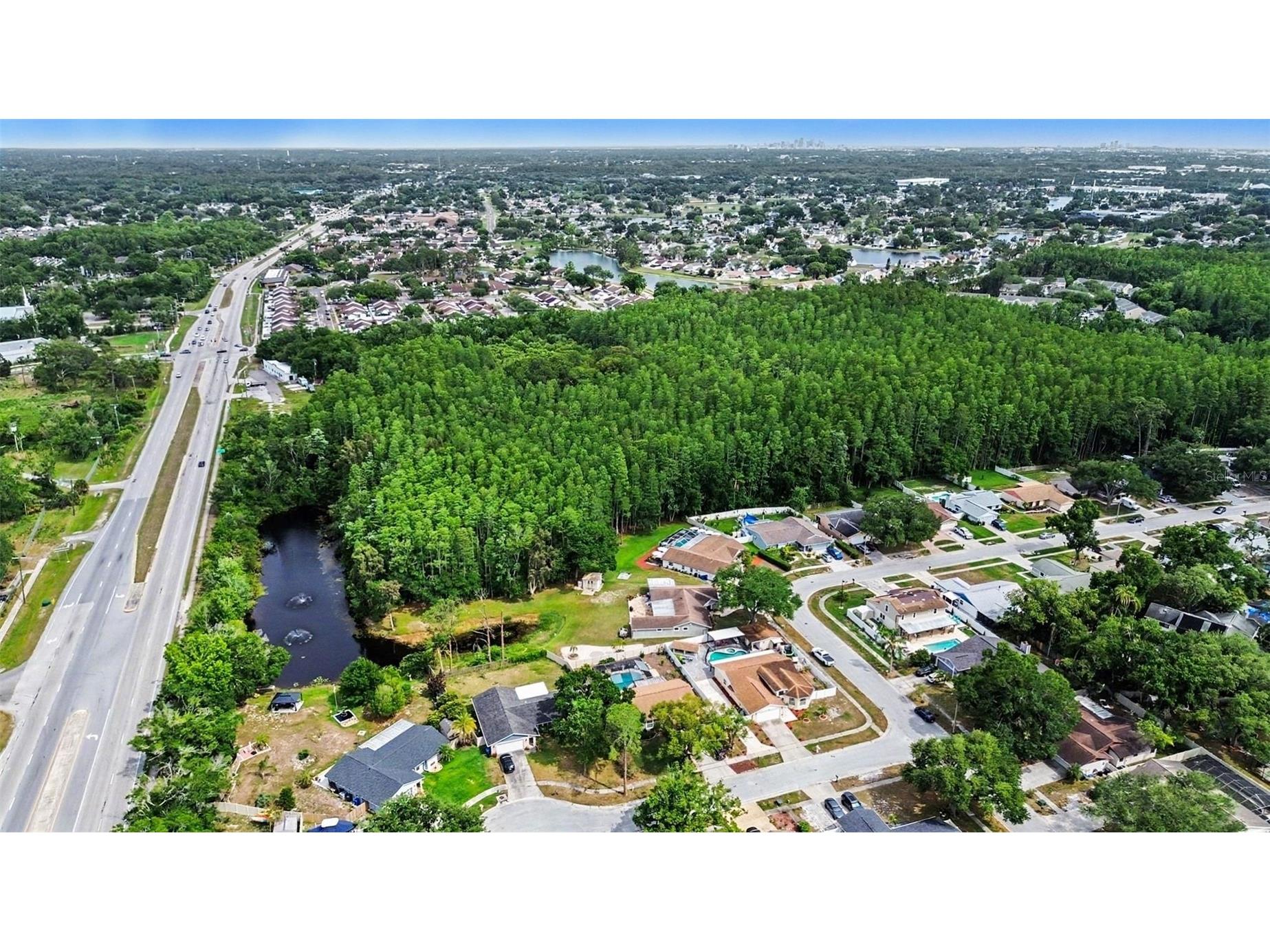 12601 Wood Ibis Way Tampa FL 33624 TB8510782 image27