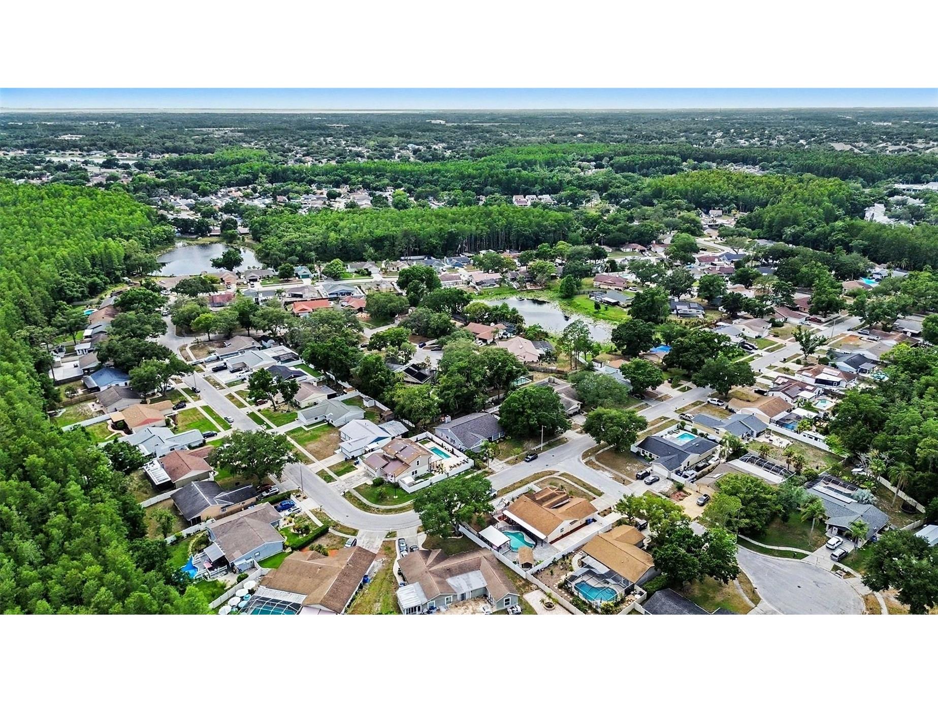 12601 Wood Ibis Way Tampa FL 33624 TB8510782 image30