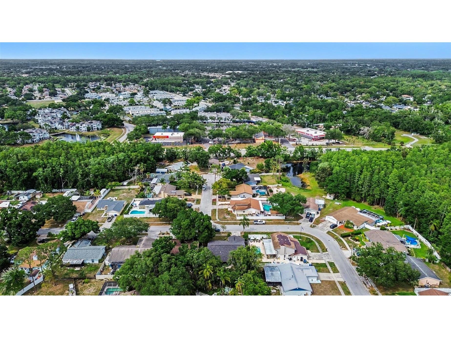 12601 Wood Ibis Way Tampa FL 33624 TB8510782 image31