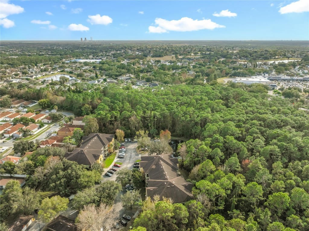 12602 Crest Springs Lane #1333 Orlando FL 32828 O6371086 image44