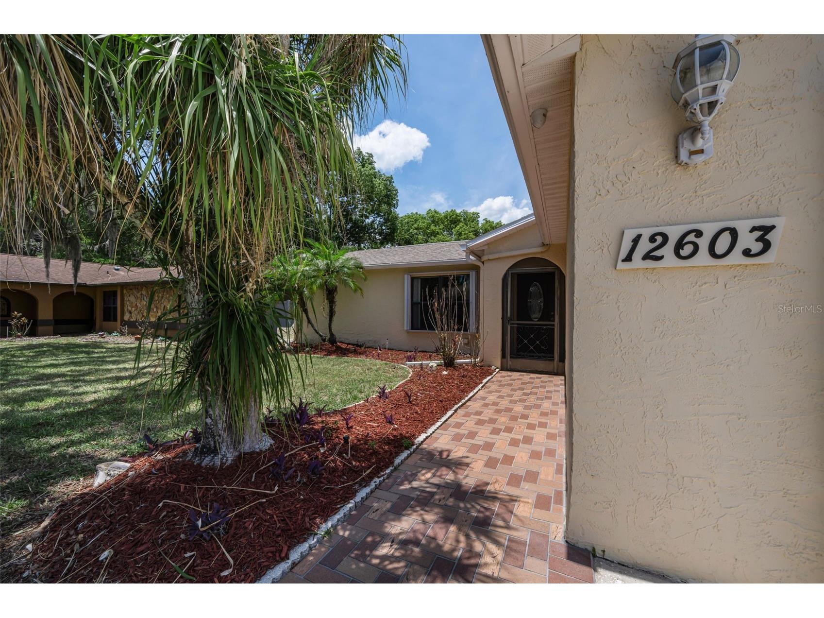 12603 Pecan Tree Drive Hudson FL 34669 W7886373 image17