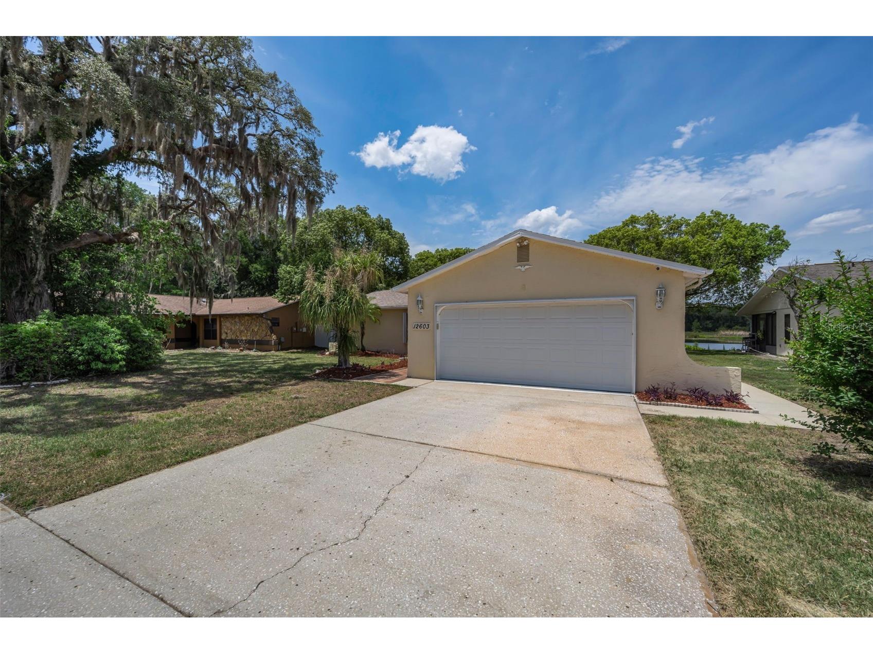 12603 Pecan Tree Drive Hudson FL 34669 W7886373 image2