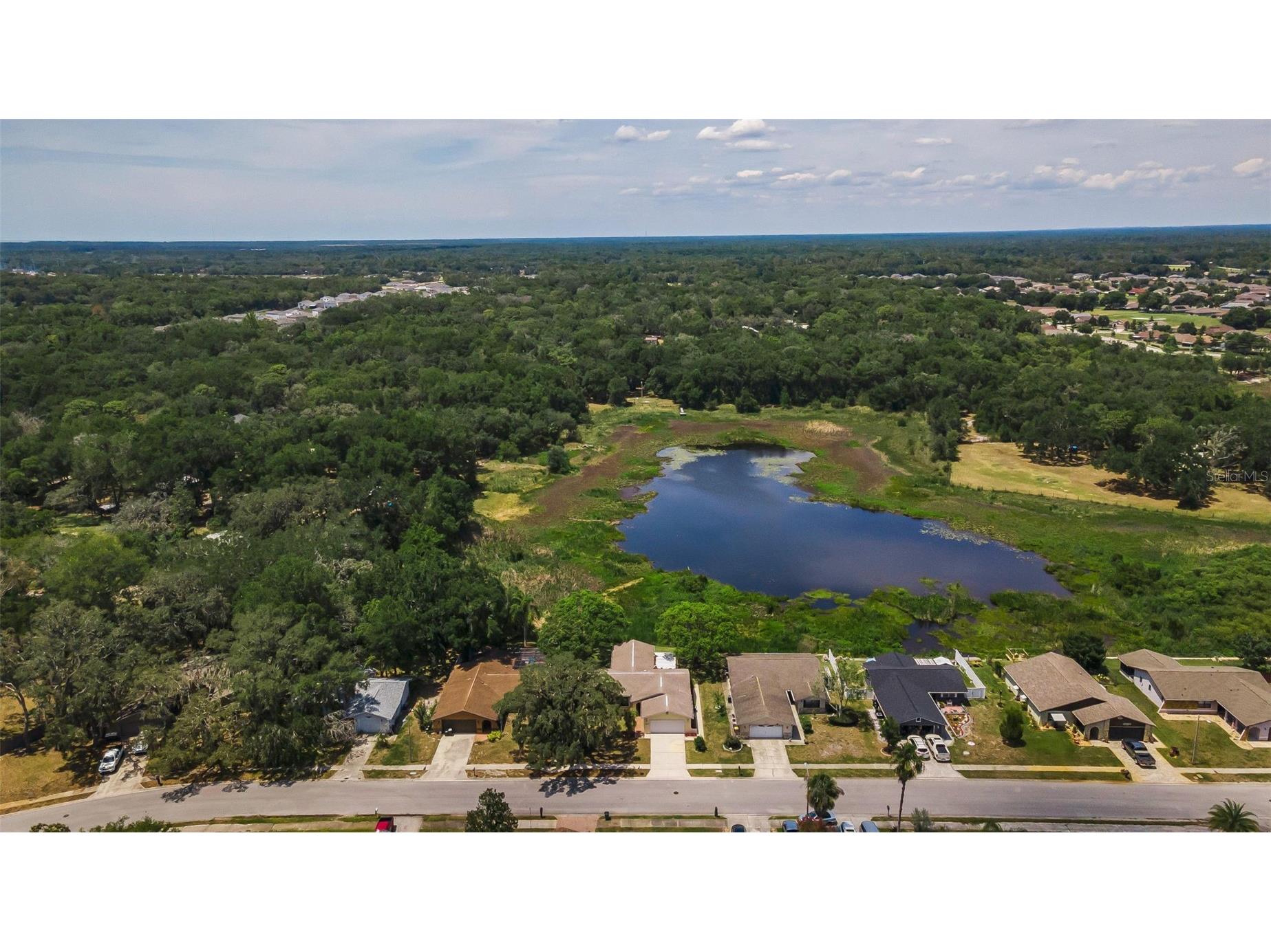 12603 Pecan Tree Drive Hudson FL 34669 W7886373 image46