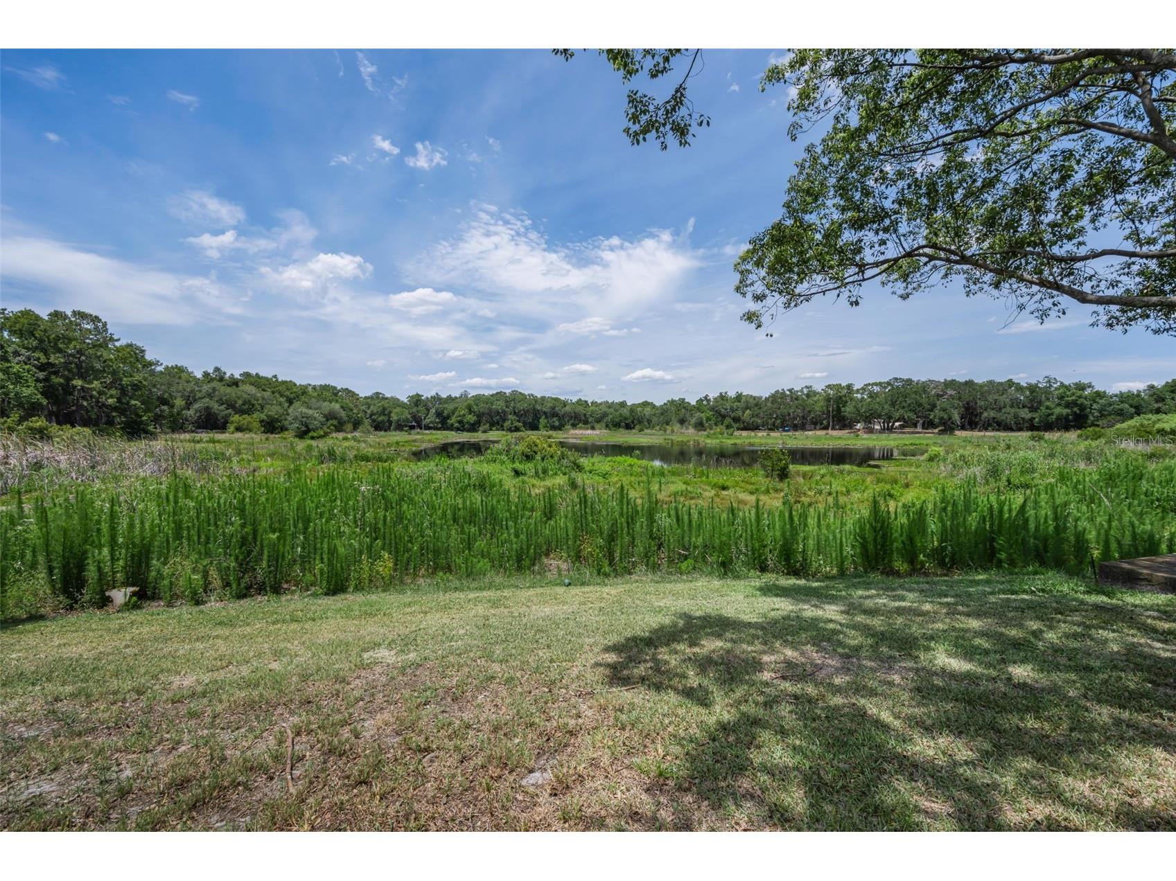 12603 Pecan Tree Drive Hudson FL 34669 W7886373 image7
