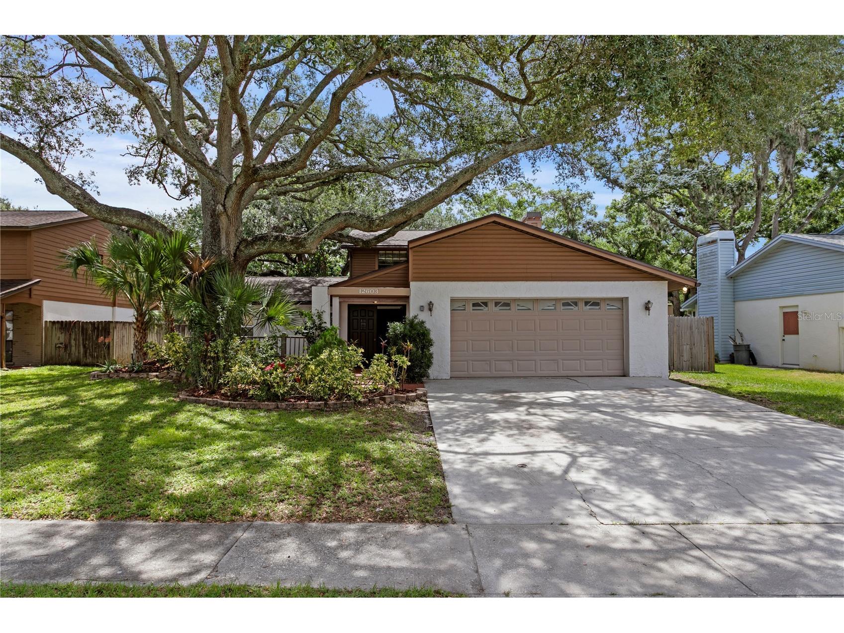 12603 Rain Forest Street Temple Terrace FL 33617 TB8513001 image1