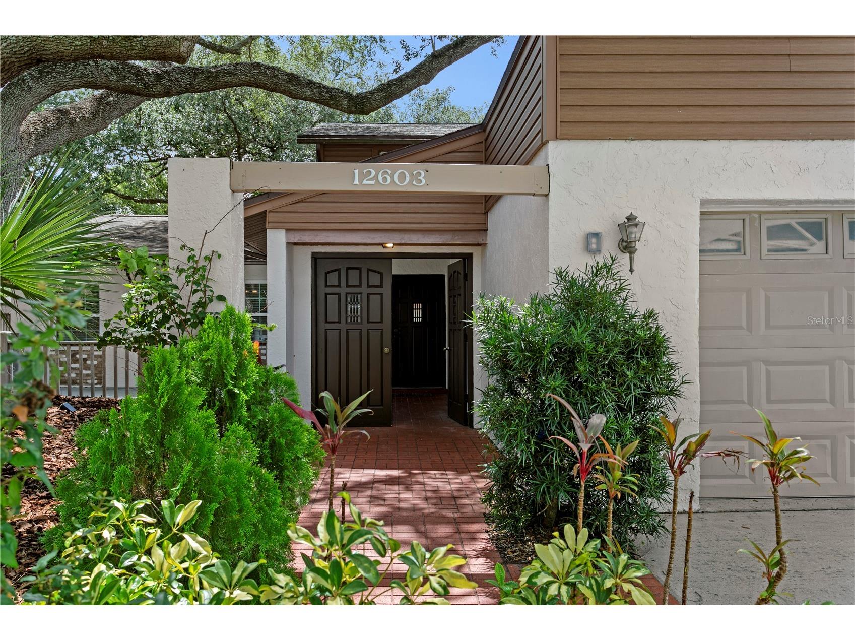 12603 Rain Forest Street Temple Terrace FL 33617 TB8513001 image3