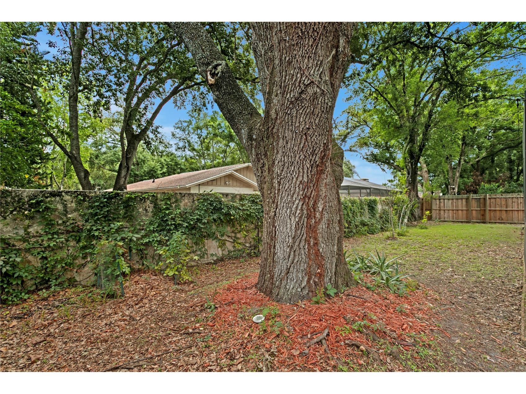 12603 Rain Forest Street Temple Terrace FL 33617 TB8513001 image52
