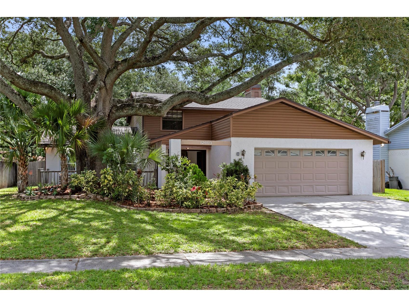 12603 Rain Forest Street Temple Terrace FL 33617 TB8513001 image56