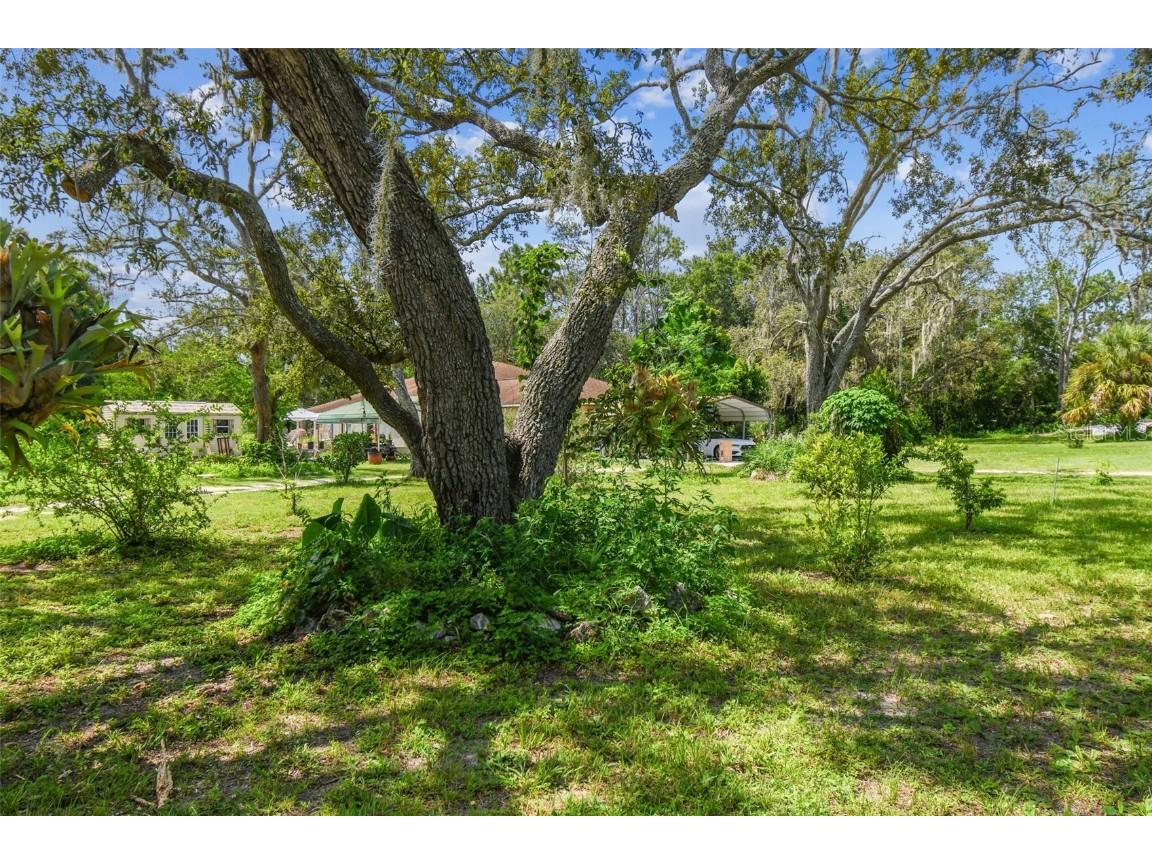 12604 Choctaw Trail Hudson FL 34669 TB8412992 image55