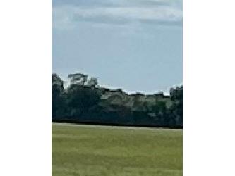 12604 County Road 103 Oxford FL 34484 OM644523 image1