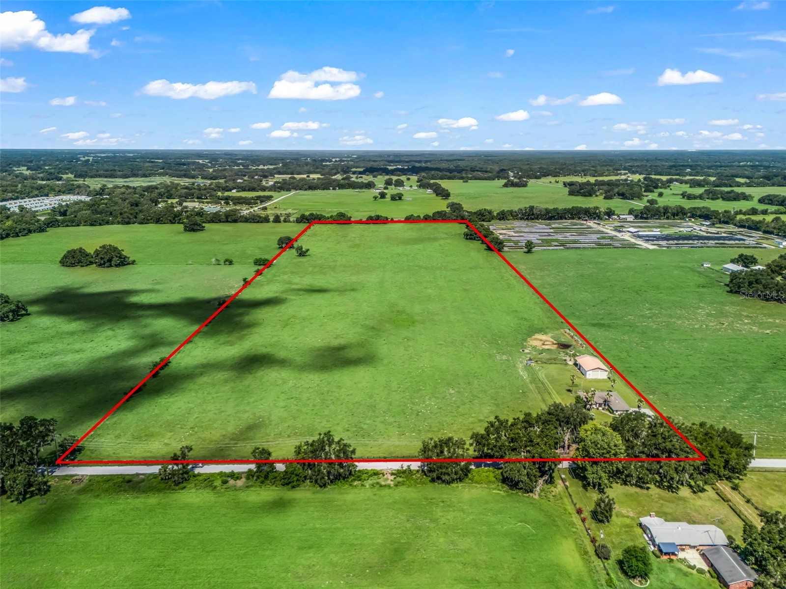 12604 County Road 103 Oxford FL 34484 OM644523 image2