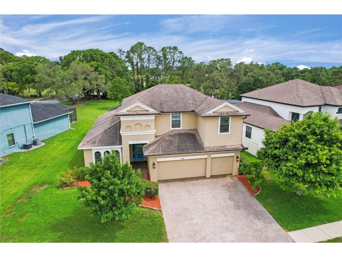 12604 Eagles Entry Drive Odessa FL 33556 U8199528 image1