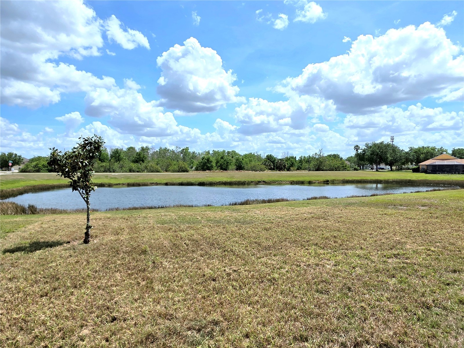 12604 Montford Lane Riverview FL 33579 TB8470213 image15