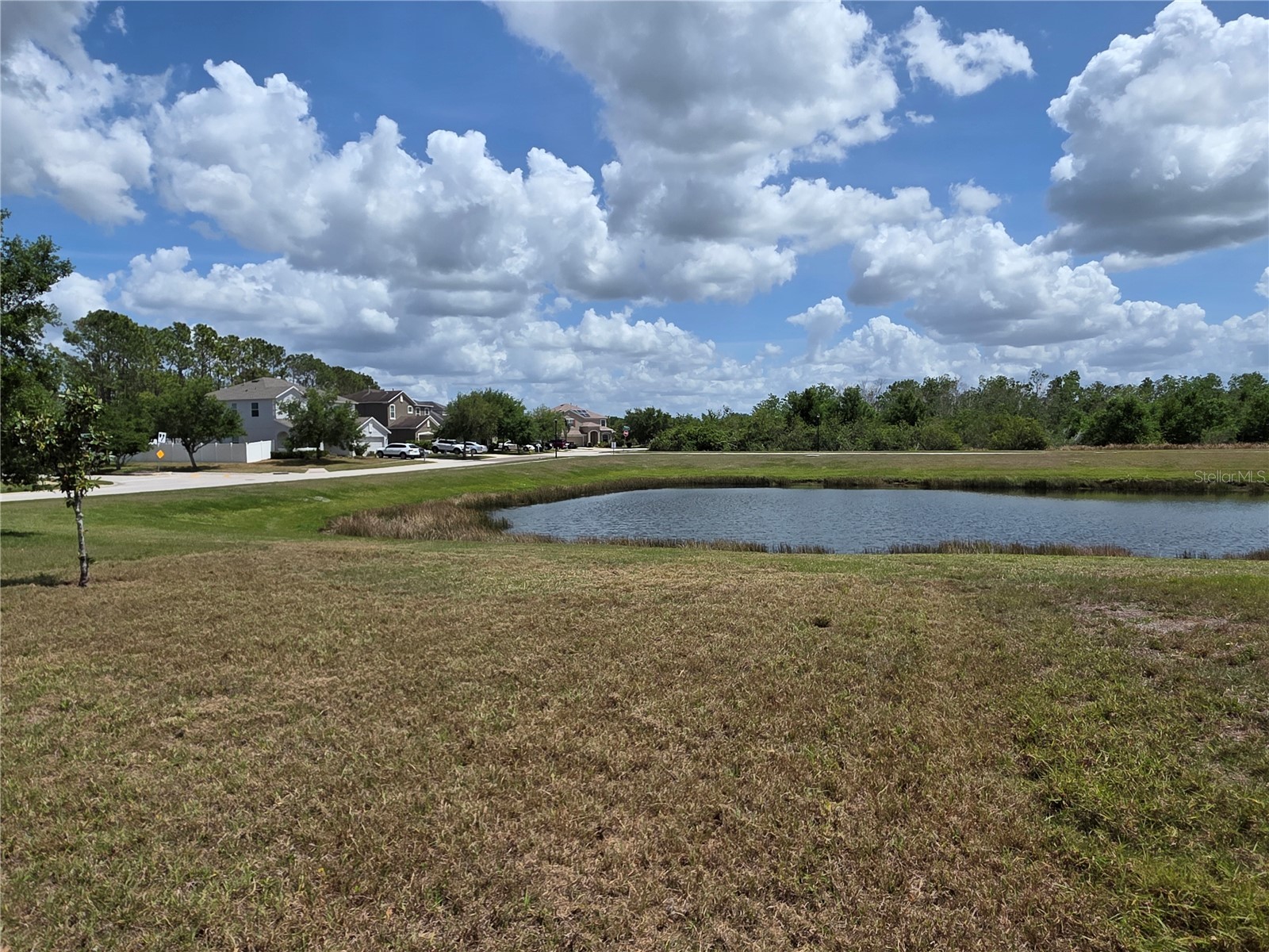 12604 Montford Lane Riverview FL 33579 TB8470213 image16
