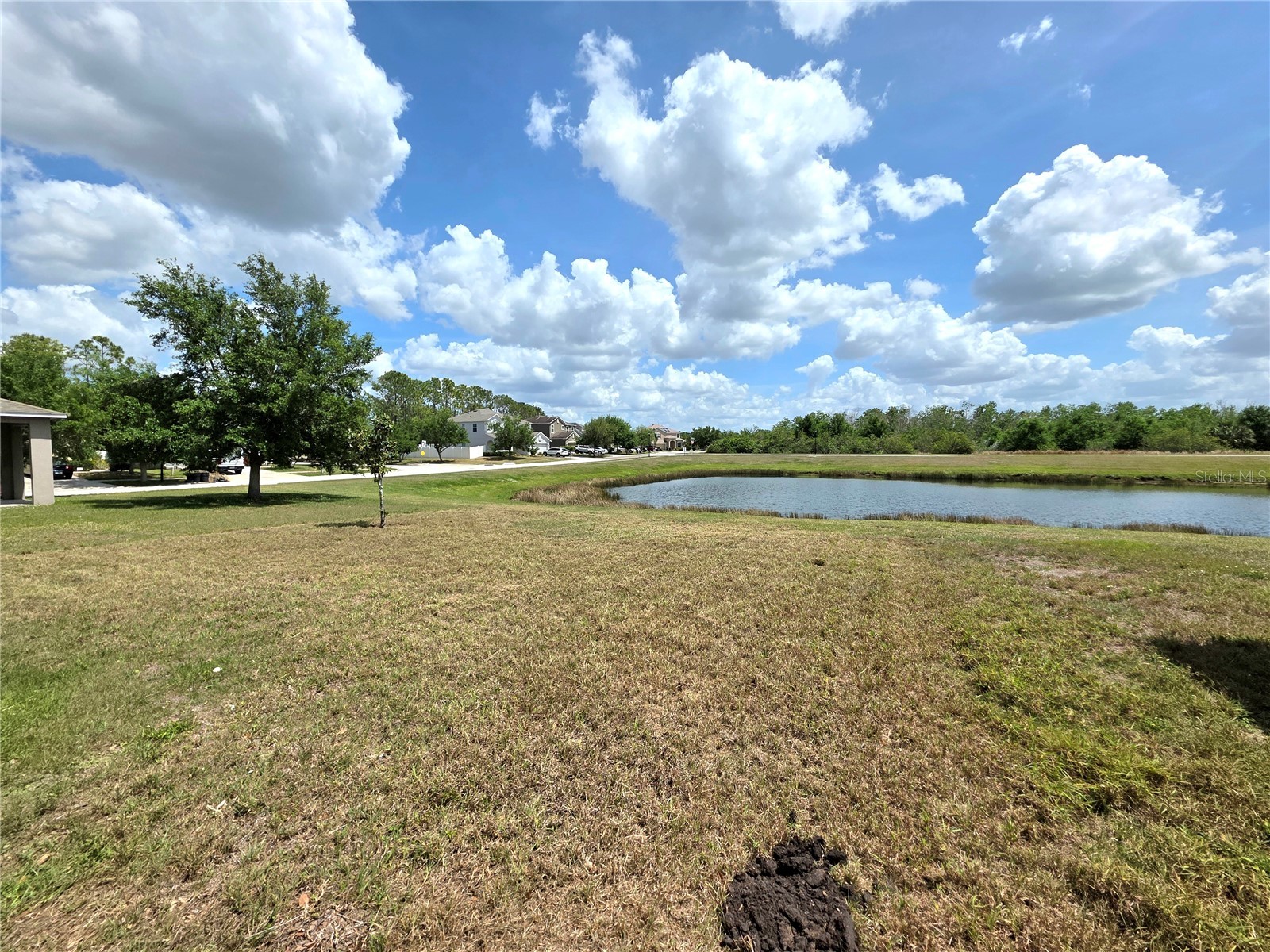 12604 Montford Lane Riverview FL 33579 TB8470213 image17