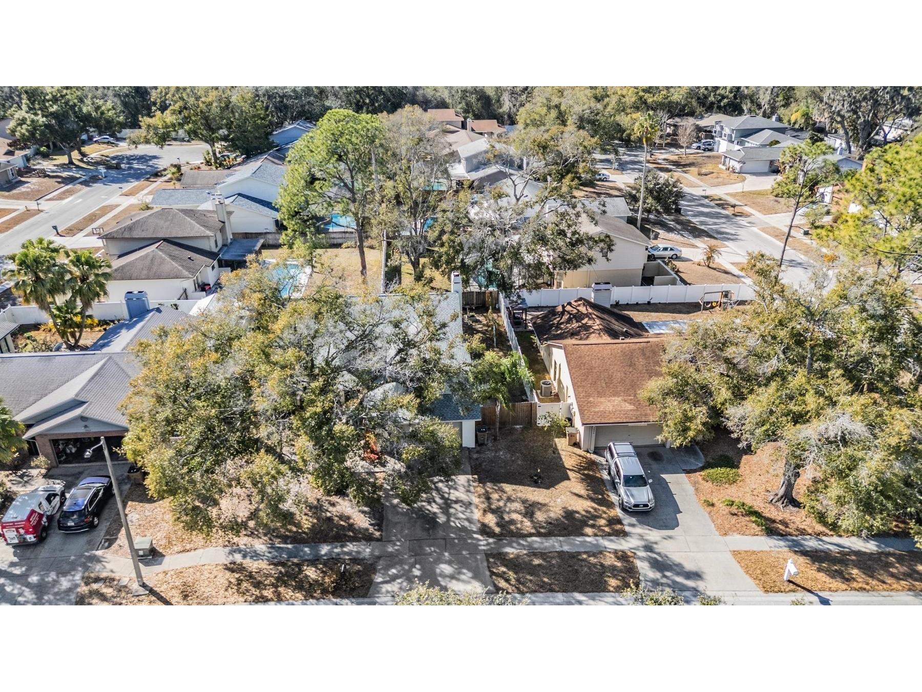 12604 Rain Forest Street Temple Terrace FL 33617 TB8472299 image43